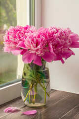 Pink peonies. Bouquet of pink peonies in a vase on the windowsill. Selective focus.