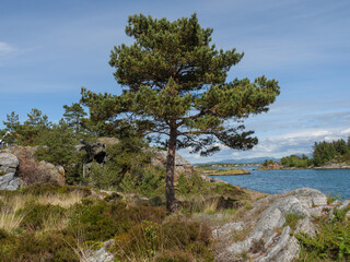 Fototapeta na wymiar Landschaft bie Stavanger in Norwegen