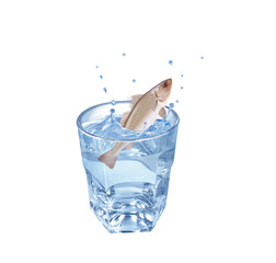 maigre , poisson, évasion, eau, en verre, boire, isolé, liquide, clapoter, froid, blanc, abattre, frais, bleu, éclaboussure, verser, bouillonner, sain, clair, transparent, fraîcheur, humide, glace, bo