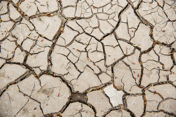Dry land. covered with cracks. background image.
