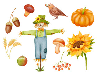 Fall set with wheat and acorns. Watercolor scarecrow character with bird, sunflower and pumpkin...