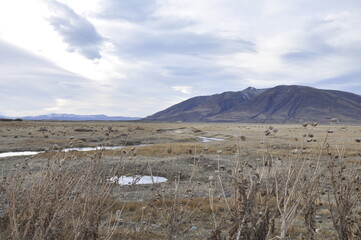 Montagnes et plaines de Patagonie, rivière glacée, 