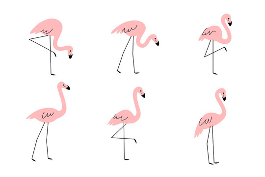 Cartoon flamingo illustration. Cute bird in different poses. Vector illustration for prints, clothing, packaging, stickers.