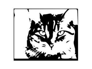 T-shirt depicts a cat in a modern black and white style. Cat poster. Picture on the wall of a cat. Stock Vector