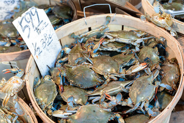 Live crabs sold on a street market, at Chinatown, Manhattan, New York, USA