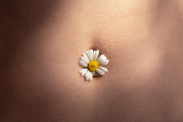 Female beautiful tummy with a chamomile flower in the navel. Perfect body shape. Parts of a female...