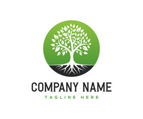 Obraz premium Tree Logo design. Root of the tree logo design template.