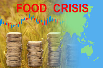 golden fields of ripening wheat, rye, shopping bag, trolley, concept of economic problems, global...