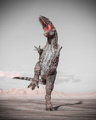 giganotosaurus is very aggressive on sunset desert © DM7