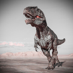 giganotosaurus is walking like a king on sunset desert © DM7