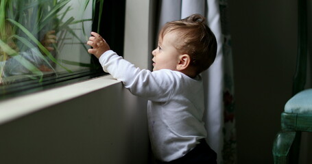Adorable baby learning to stand by leaning on window looking outside reaching hand