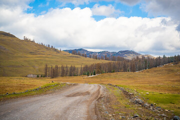 Road in the mountains of southern Altai with view on spring nature, Russia