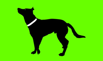 silhouette dog vector design 