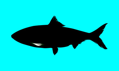 Obraz premium Fishing silhouette vector design 