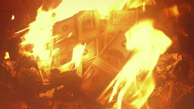 Lots Of Money Burning In Fire - Losses, Economy Concept