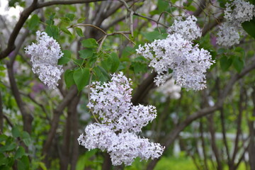 days in Moscow and outside