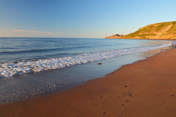 Lonely Beech at Runswick Bay on a Sunny Day, North Yorkshire, England, UK.