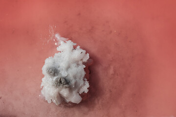 Salt crystallization on wooden pillars in a pink salt lake. Salt extraction by evaporation