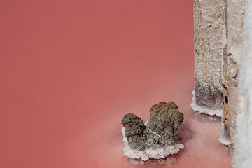 Salt crystallization on wooden pillars in a pink salt lake. Salt extraction by evaporation