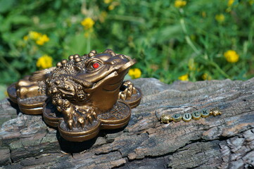 Metal toad feng shui close-up. A symbol of financial well-being.