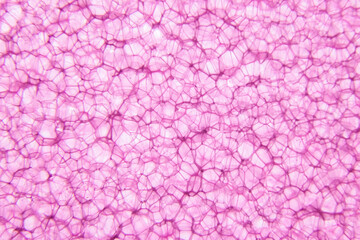 Fototapeta premium abstract pink background with texture. synthetic sponge