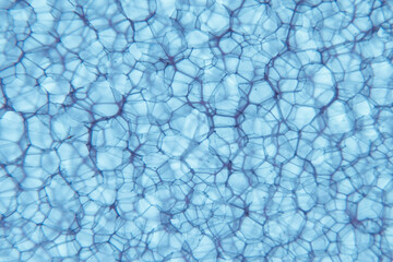 Background blue abstract. Background dark gradient