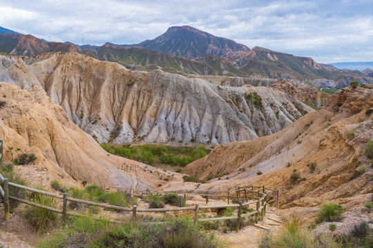 Tabernas Desert (Almeria, Spain)