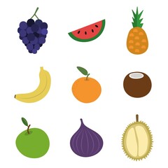 fruits exotic fresh set vector