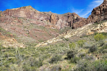 Fototapeta premium Impressive mountain scenery along the climb to Bull Pasture in the Ajo Mountains, Organ Pipe Cactus National Monument, southern Arizona, USA 