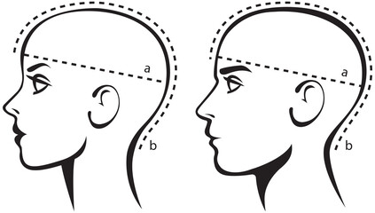 Stylized image of a male y ​female head. Template for selecting the size of a wig or hats or caps for women and men. Measuring size chart. Vector illustration isolated on white background