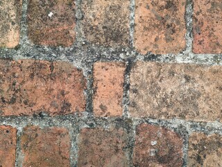 Obraz premium Mural con diseño de muro de ladrillos