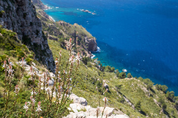 Mallorca green cliffs and the sea near cap de Formentor