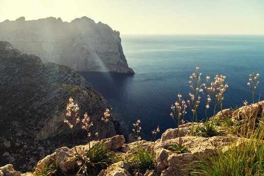 Mallorca cliffs at the sunset near cap de Formentor