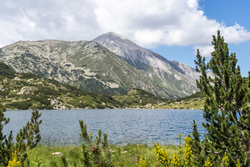 Naklejka premium Landscape of Pirin Mountain and Fish Banderitsa lake, Bulgaria