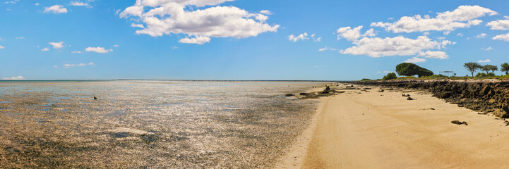 Beach at Anakao, small trees and grass growing near shore, sun shines to shallow, almost no water during low tide - wide panorama photo