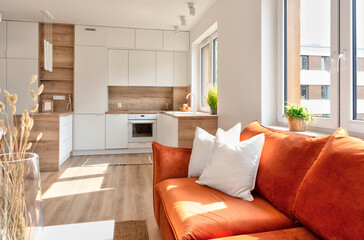 Luxurious and modern interior of living room with red sofa with pillows, wooden floor and window....