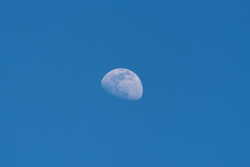 Details of the beautiful moon on a perfectly blue sky day