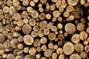 Möbelaufkleber Pilha de madeiras , troncos de arvores empilhados © Jr Studio Foto