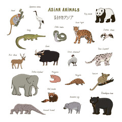 Fototapeta premium Asian animals elephant, panda, leopard, bear, tiger vector illustrations set