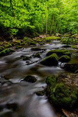 Gentry Creek in Tennessee