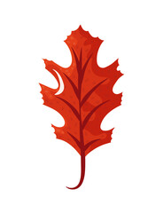 autumn leaf flat icon