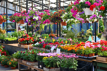 A stall with fresh beautiful flowers in the city market. Trade at the farmers market.