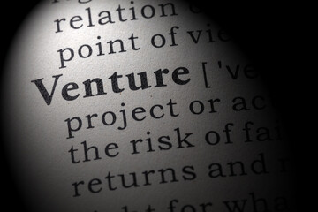 definition of Venture