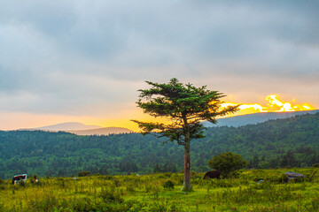 sunset in the mountains