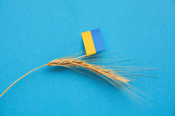 grain wheat and spikelets on a blue background. Ukrainian flag and  grain and problems of blockade...