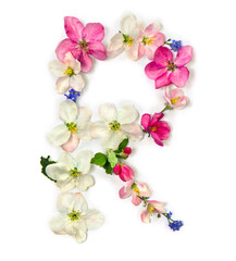 Letter R of flowers apple tree and blue wildflowers forget-me-nots on white background. Top view, flat lay
