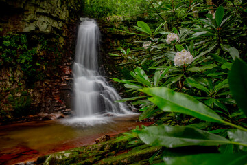 Gentry Creek Falls