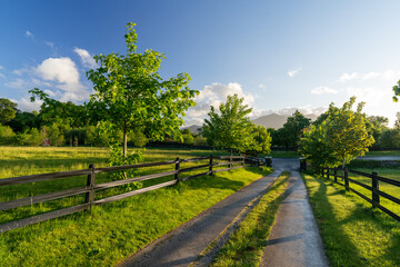 Fototapety na wymiar - Fototapeta24.pl