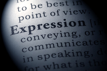 Fake Dictionary, Dictionary definition of expression