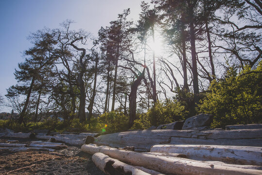 Nanaimo BC